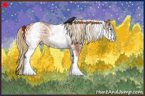 Horse Color:White Spotted Chestnut 
