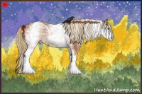 Horse Color:White Spotted Chestnut 
