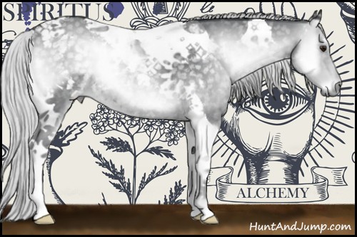 Horse Color:Silver Blue Onyx Chinchilla Tobiano 