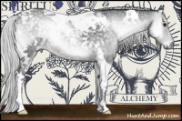 Horse Color:Silver Blue Onyx Chinchilla Tobiano 