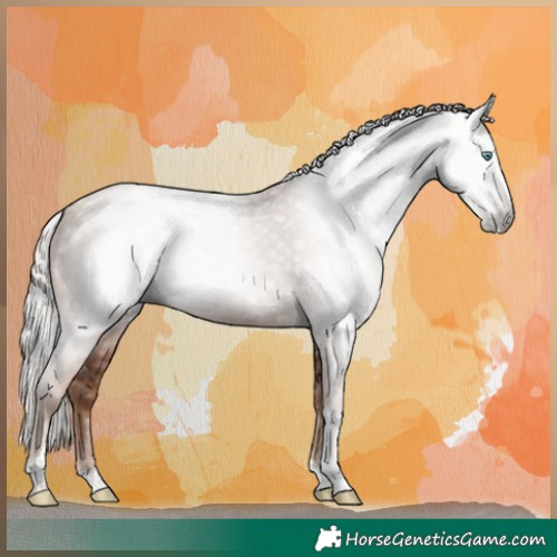 Horse Color:Gray Silver Classic Champagne Tobiano Rabicano