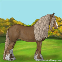 Horse Color:Chocolate Palomino Sabino Rabicano 