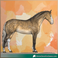 Horse Color:Silver Buckskin Dun Sabino 