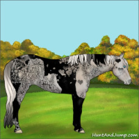 Horse Color:Void Gold Cream Champagne Ice Pearl Onyx Tobiano 