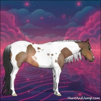 Horse Color:Bay Tobiano Rabicano