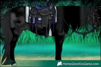 Horse Color:Void Black Tobiano Frame 