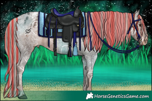 Horse Color:Painted Liver Chestnut Ice Appaloosa 