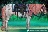 Horse Color:Painted Liver Chestnut Ice Appaloosa