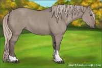 Horse Color:Silver Grullo Tobiano 
