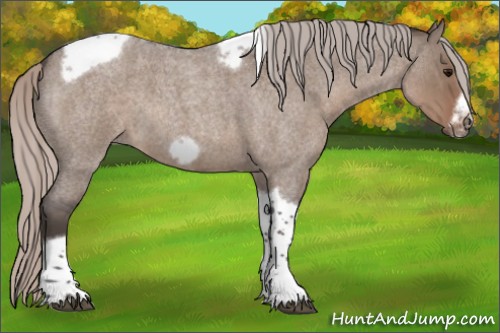 Horse Color:Silver Grullo Roan Tobiano Frame 