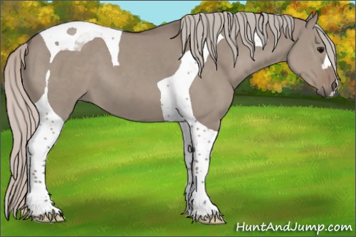 Horse Color:Silver Grullo Tobiano 