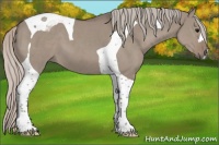 Horse Color:Silver Grullo Tobiano 
