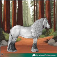 Horse Color:Silver Bay Chinchilla Dun Tobiano 