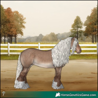 Horse Color:Liver Red Dun Mushroom 