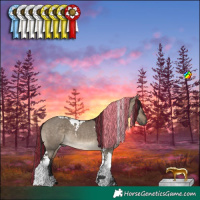 Horse Color:Painted Brown Dun Tobiano