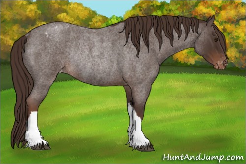 Horse Color:Liver Red Roan Varnish Rabicano 