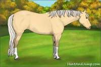 Horse Color:Silver Buckskin Dun Tobiano 