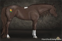 Horse Color:Liver Chestnut Tobiano 