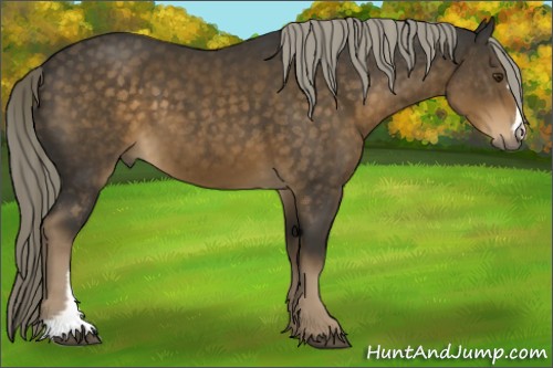 Horse Color:Chocolate Palomino 