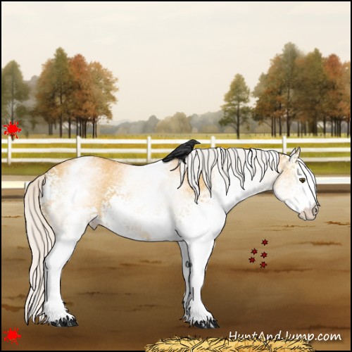 Horse Color:White Spotted Silver Buckskin Dun