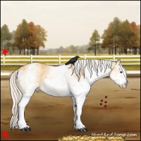 Horse Color:White Spotted Silver Buckskin Dun 