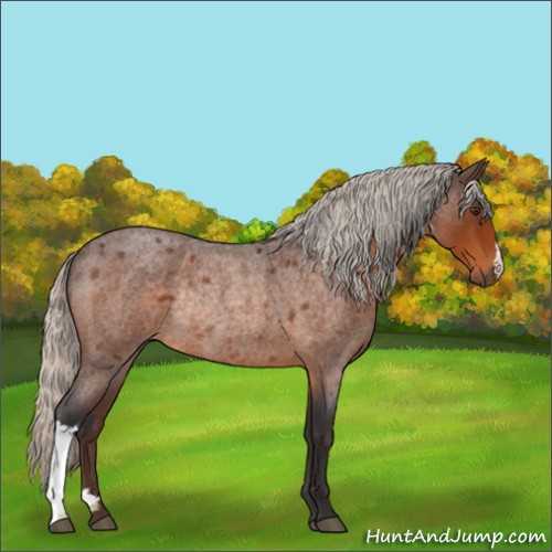 Horse Color:Silver Buckskin Roan Rabicano 