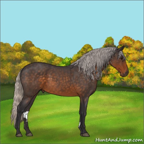 Horse Color:Silver Buckskin Roan 