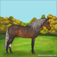Horse Color:Silver Buckskin Roan 