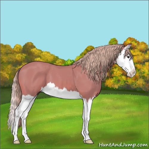 Horse Color:Watercolor Chestnut Splash 