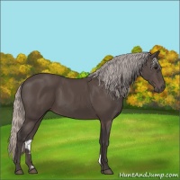 Horse Color:Silver Black 