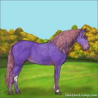 Horse Color:Watercolor Liver Chestnut 