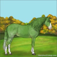 Horse Color:Watercolor Liver Chestnut Sabino Splash 