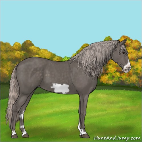 Horse Color:Silver Black Frame