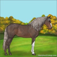 Horse Color:Silver Black 