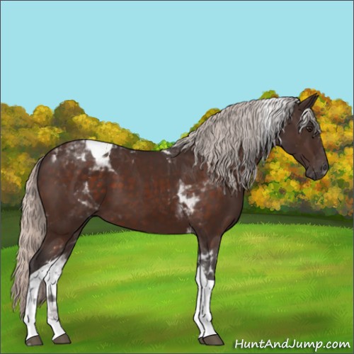 Horse Color:Silver Brown Tobiano 