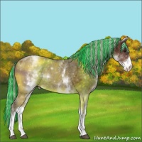 Horse Color:Painted White Spotted Silver Bay Tobiano