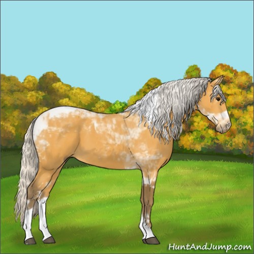 Horse Color:Silver Buckskin Tobiano 