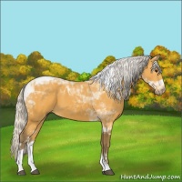 Horse Color:Silver Buckskin Tobiano 