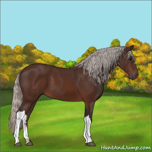 Horse Color:Silver Brown 