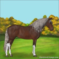 Horse Color:Silver Brown 