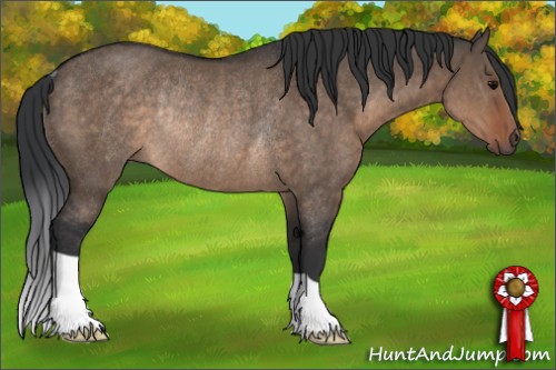 Horse Color:Brown Dun Rabicano 