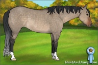 Horse Color:Brown Dun Rabicano 