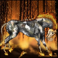 Horse Color:White Spotted Silver Black Chinchilla Rabicano