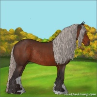 Horse Color:Silver Brown Rabicano 