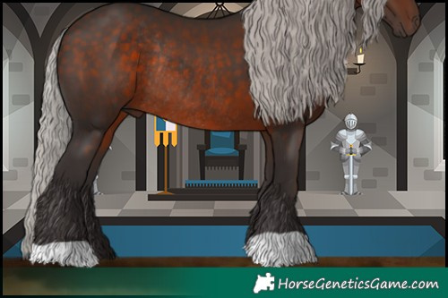 Horse Color:Silver Brown Rabicano 