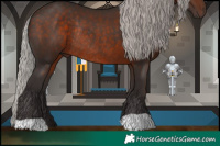 Horse Color:Silver Brown Rabicano 