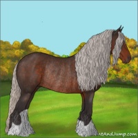 Horse Color:Silver Brown Rabicano 