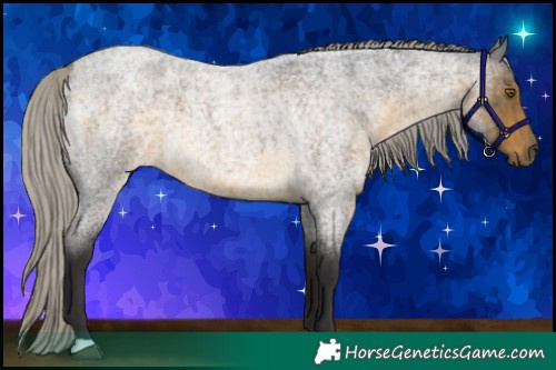 Horse Color:Silver Buckskin Roan 