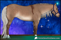 Horse Color:Silver Bay Dun 