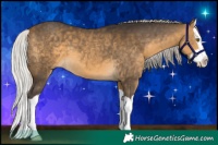 Horse Color:Silver Buckskin Splash 